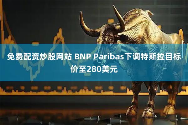 免费配资炒股网站 BNP Paribas下调特斯拉目标价至280美元